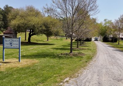 132 AFM Blue Q Ranch Photo 24