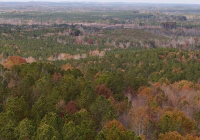 133 AFM Crump Farm Photo 27