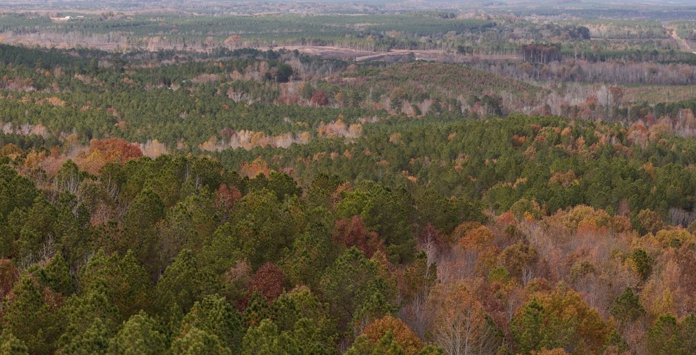 133 AFM Crump Farm Photo 27