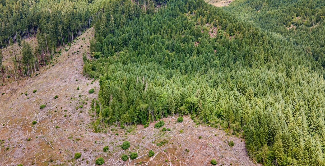 133 DJI 0701 HDR25