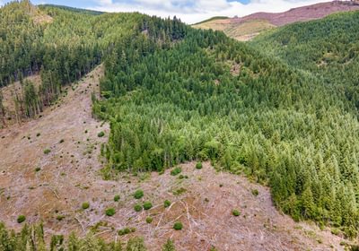 133 DJI 0701 HDR25