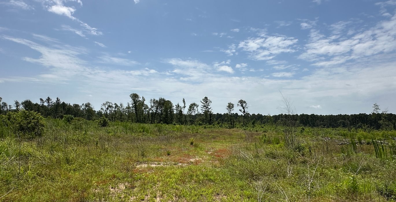 133 IMG 6336