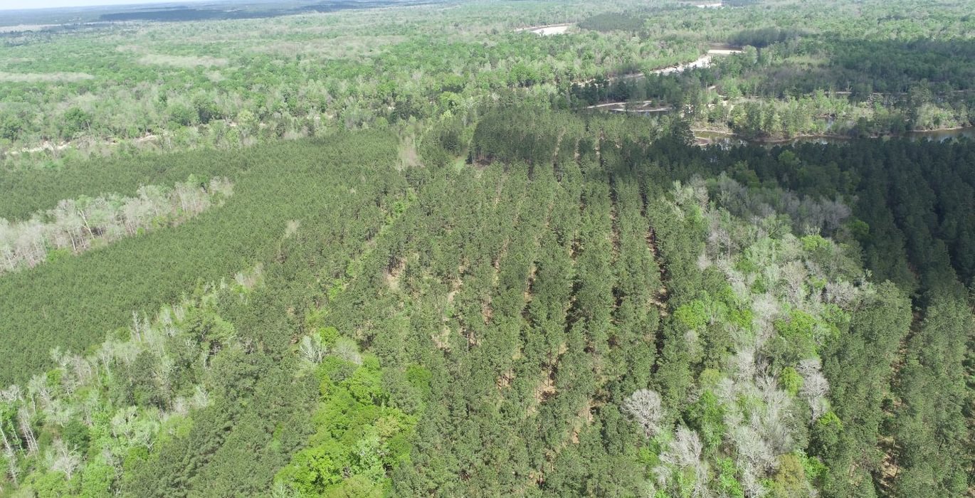 134 DJI 0385