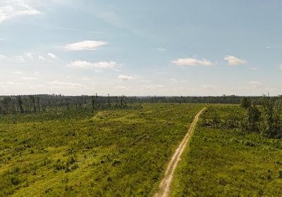 134 DJI 20250613095112 0091 D