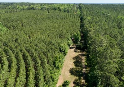 134 Horton Tract Photo 7