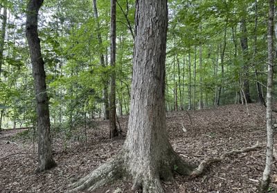 134 IMG 3281