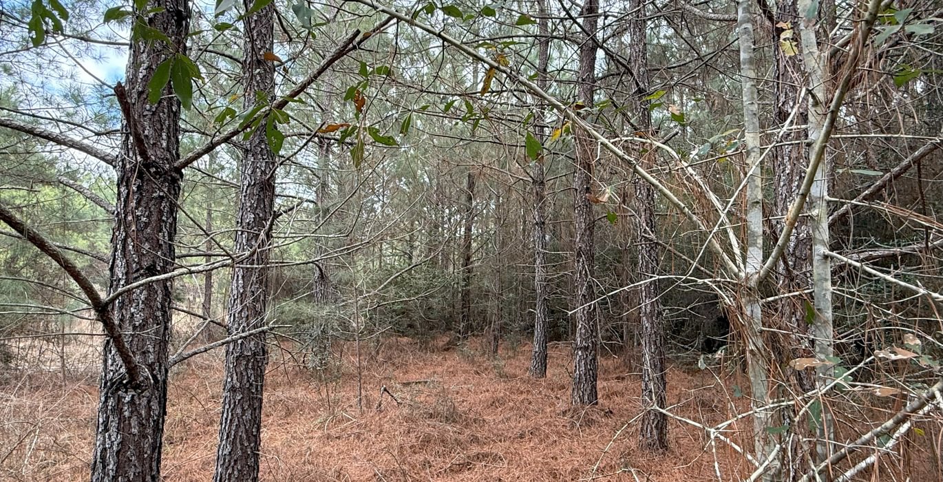 134 IMG 7184