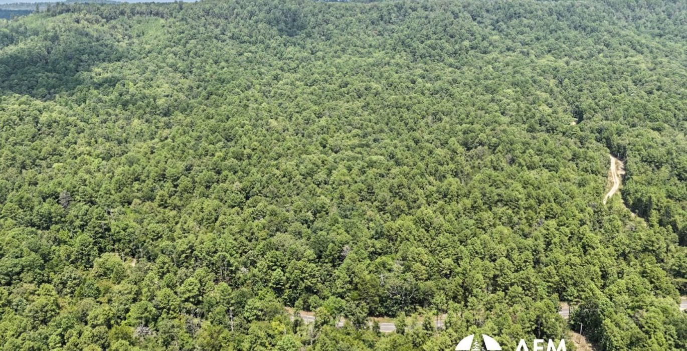 135 DJI 20260805131301 0002 D Medium
