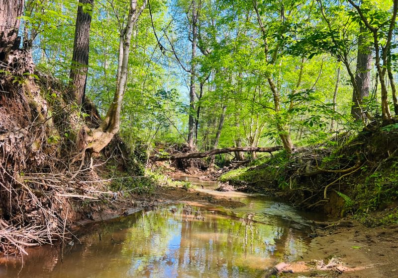 Photo 5 of Wolf Creek - Sportsman Tract, 182 acres, Jasper County, Georgia