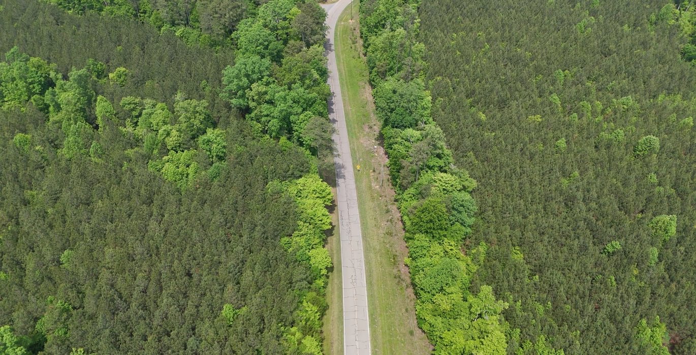 136 Mc Call Capelsie 2