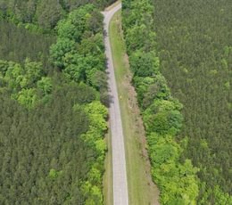 136 Mc Call Capelsie 2