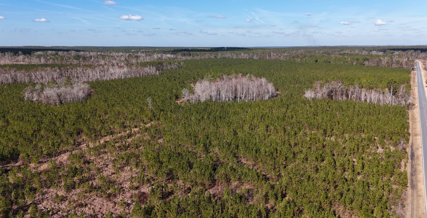136 dji fly 20241216 140336 0059 1734391510776 photo