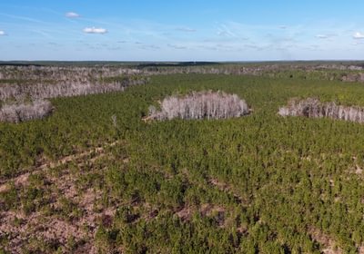 136 dji fly 20241216 140336 0059 1734391510776 photo