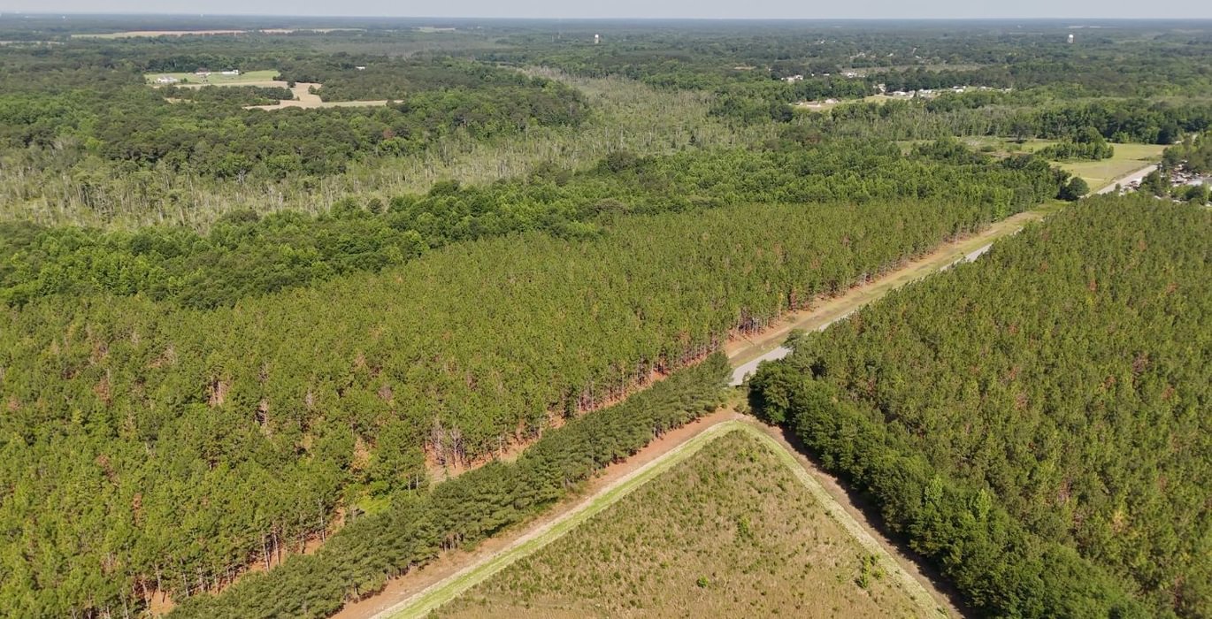 137 Beaverdam Creek Photo 18