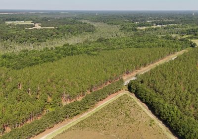 137 Beaverdam Creek Photo 18