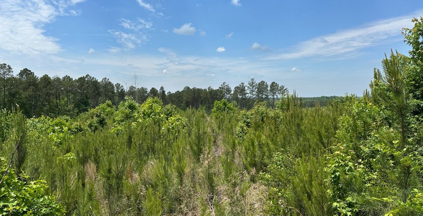 139 IMG 0545