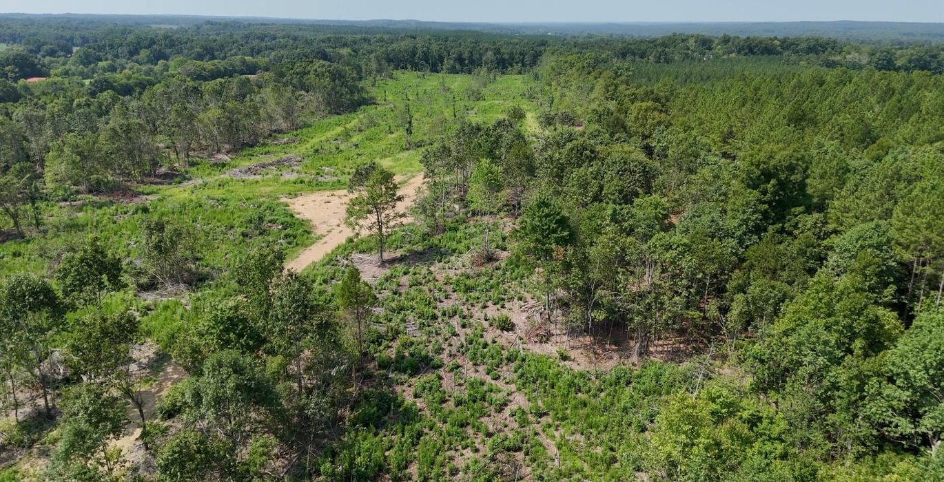 17 AFM Lambert Tract Photo 4