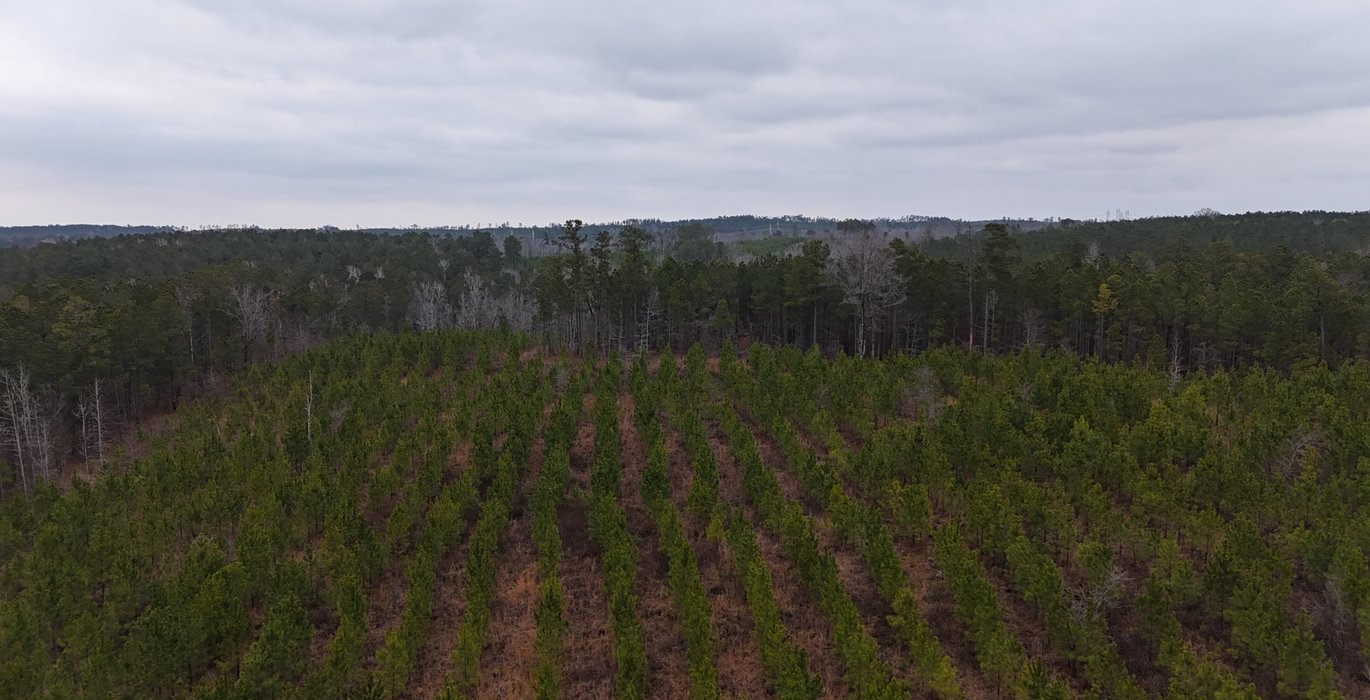 140 DJI 20260205154100 0004 D