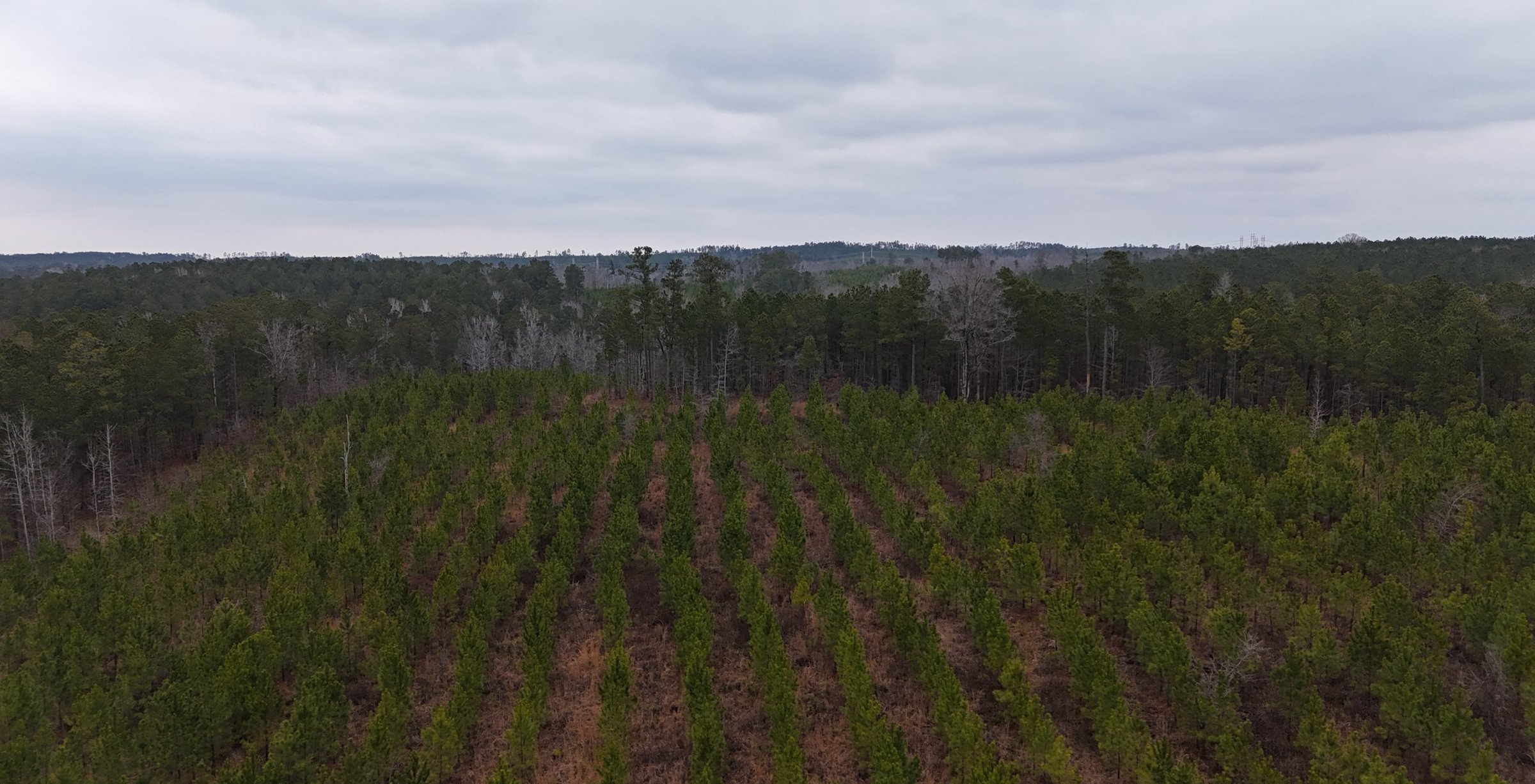 Photo 12 of Chickasaw Pines at Lake Sinclair, 131 acres, Hancock County, Georgia