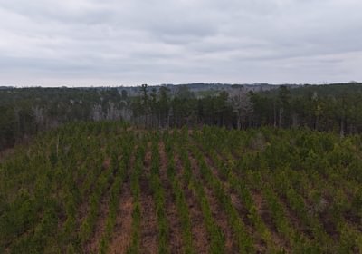 140 DJI 20260205154100 0004 D