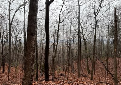 140 IMG 4634