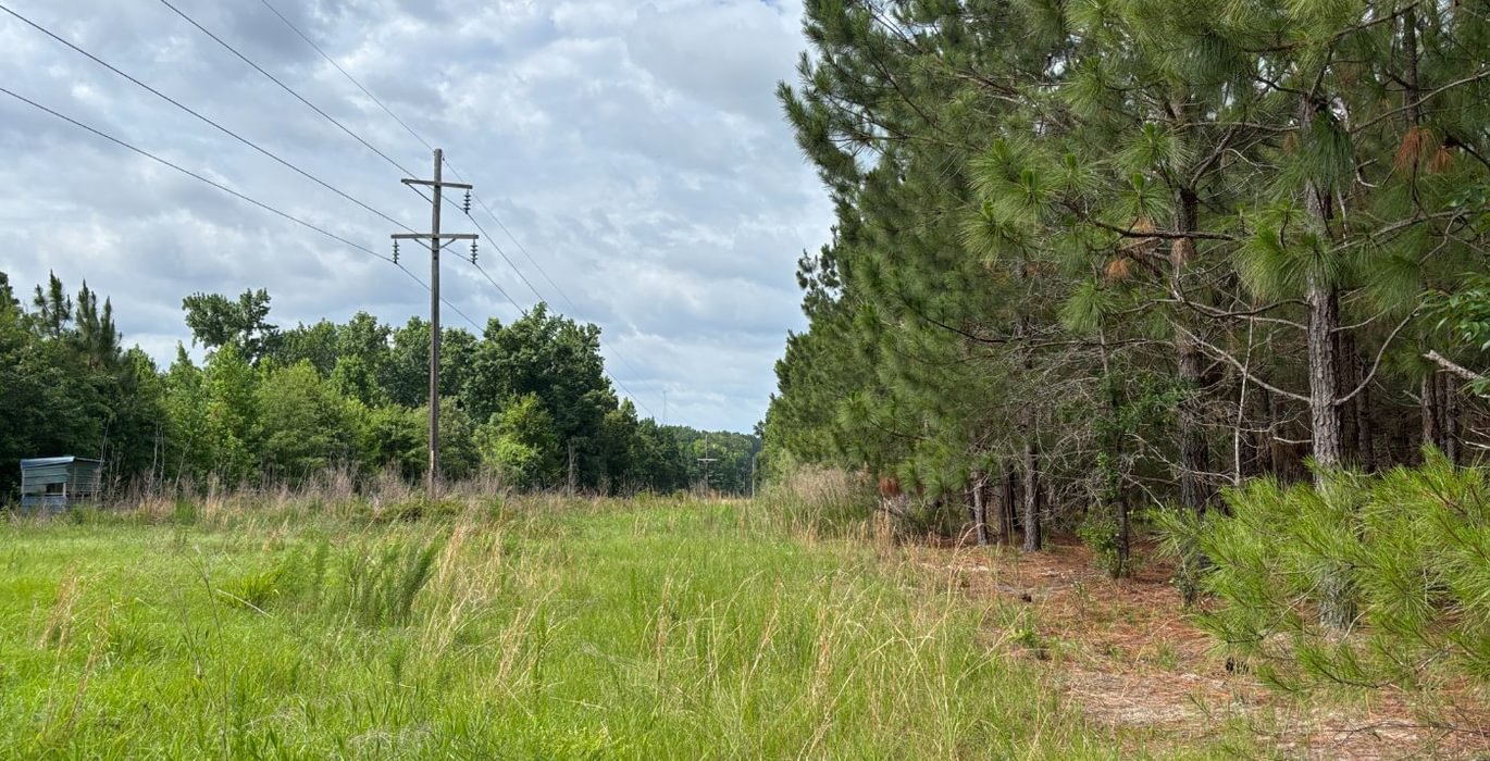 140 IMG 6880