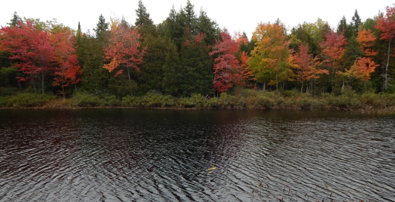141 2017 10 08 Sherwood Pond middle frontage