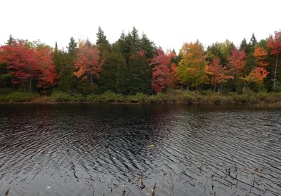 141 2017 10 08 Sherwood Pond middle frontage