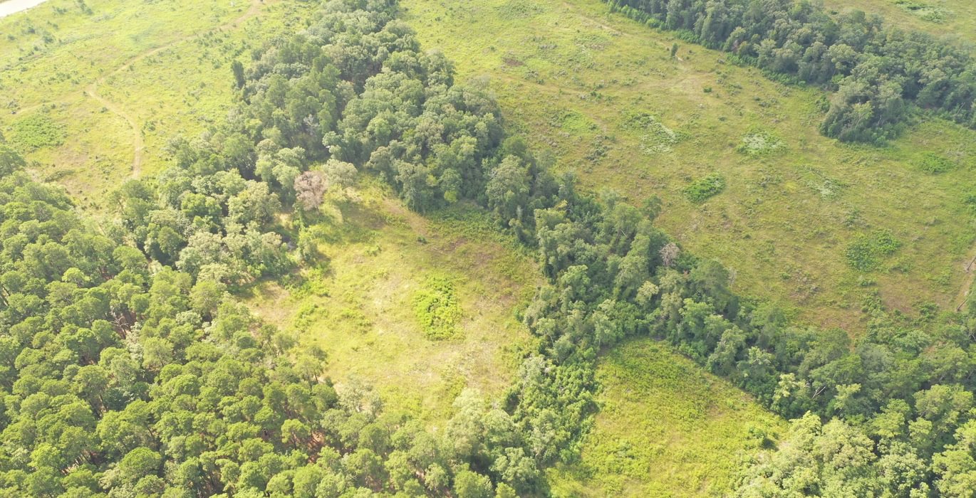 142 DJI 0517