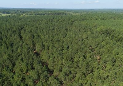 143 Cabin Creek Photo 6