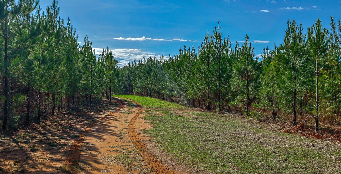 144 AFM Island Creek Farms