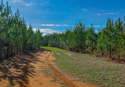 144 AFM Island Creek Farms