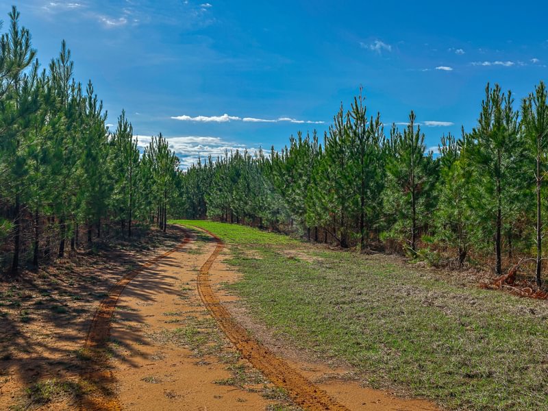 144 AFM Island Creek Farms