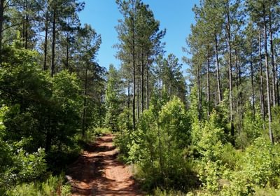144 Horton Tract Photo 2