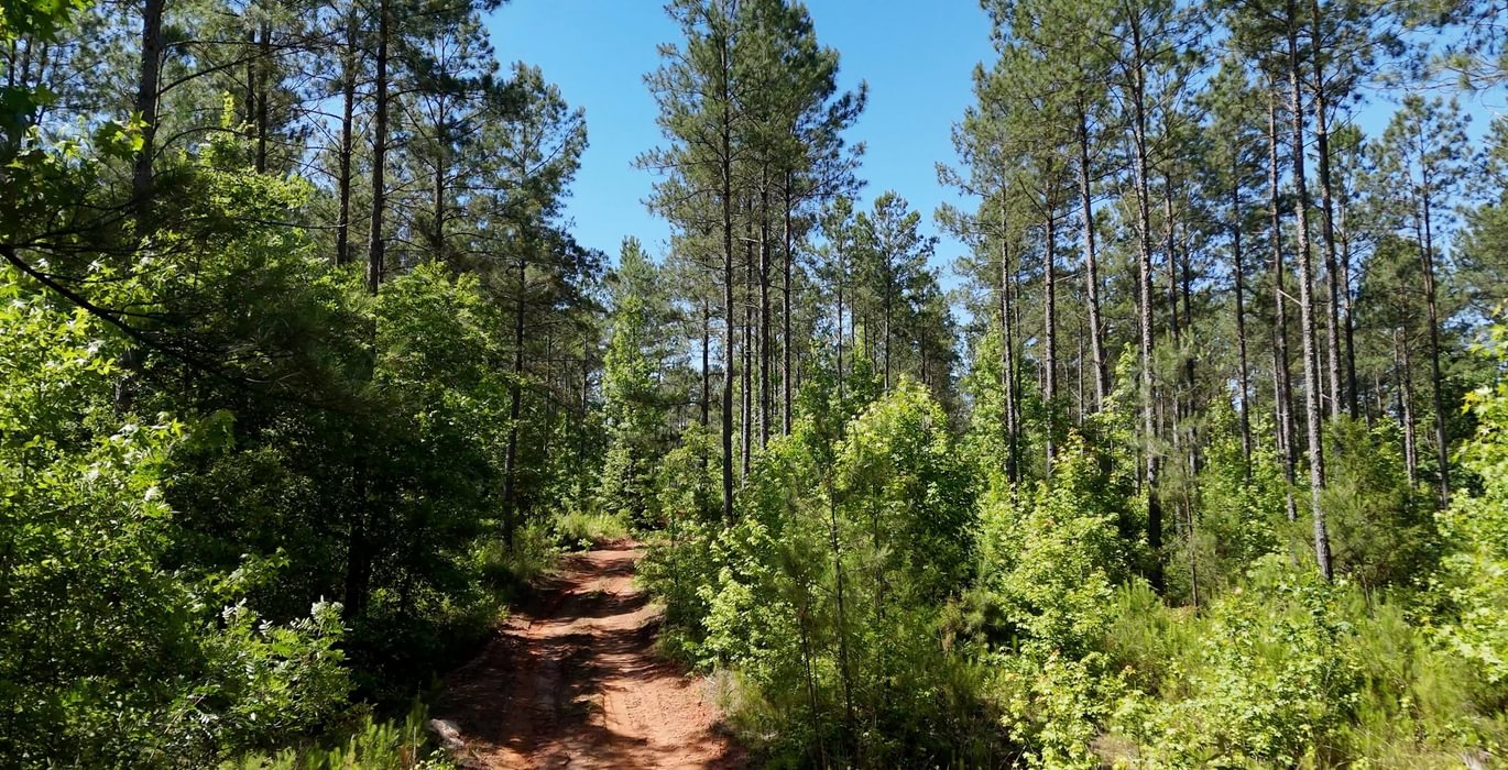 144 Horton Tract Photo 2