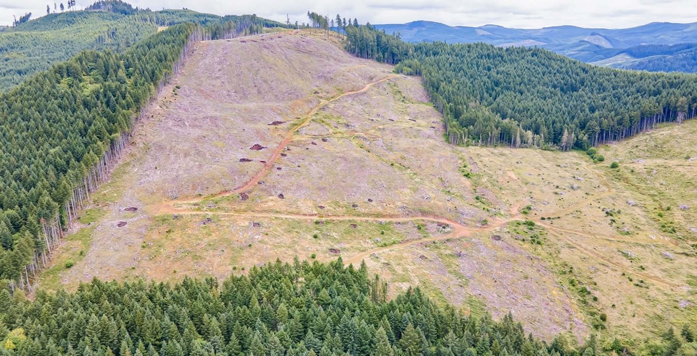 145 DJI 0632 HDR25