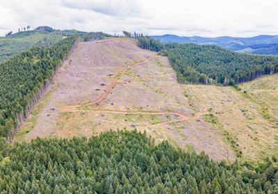 145 DJI 0632 HDR25
