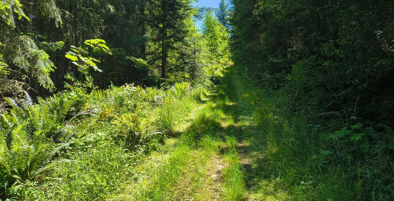 145 IMG 20260602 121235732 HDR