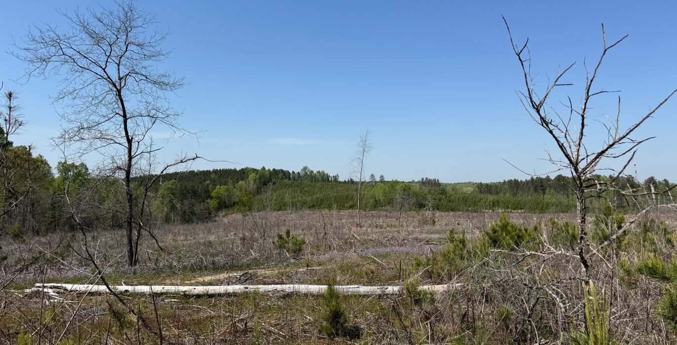 145 IMG 7236