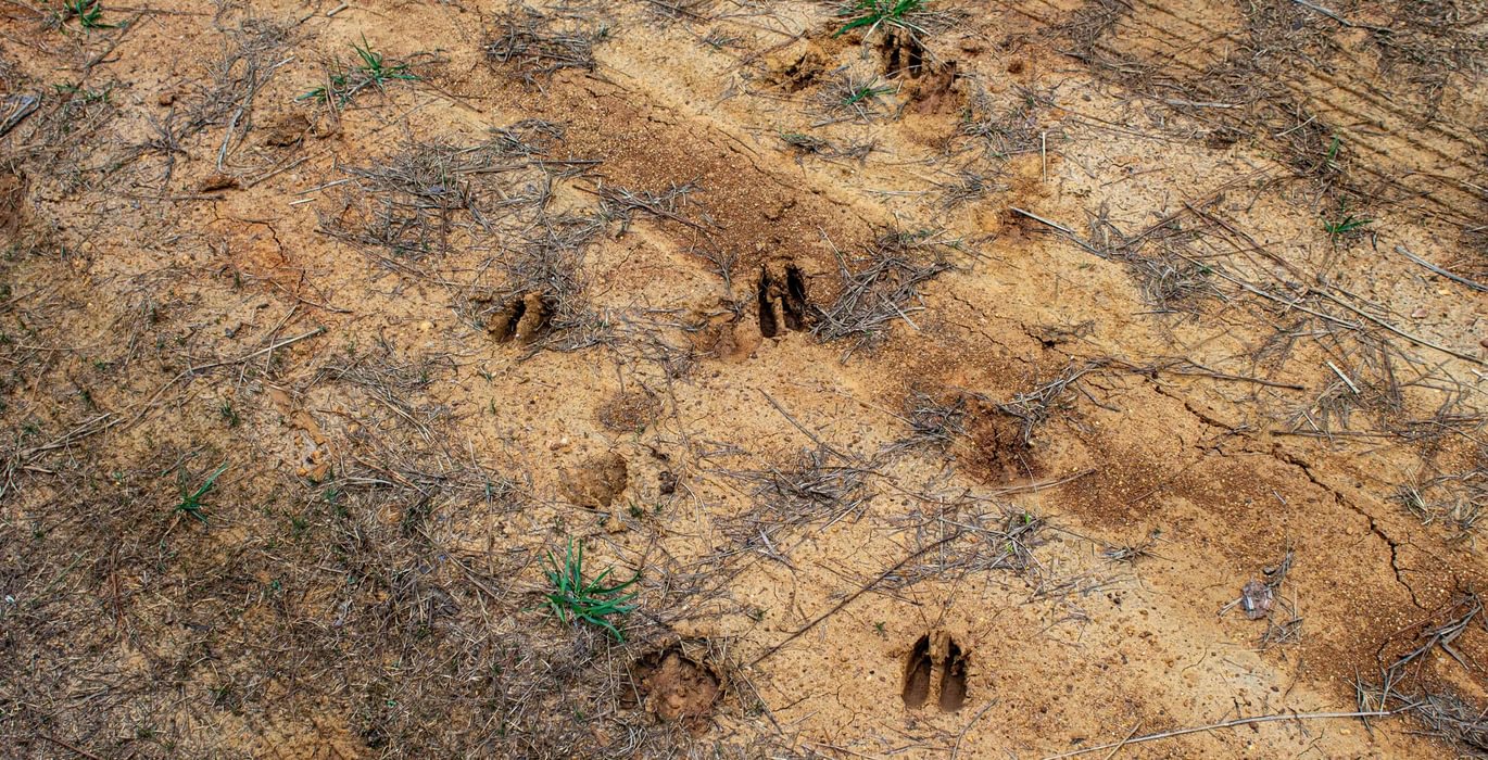 146 FORTLAWN IMG 6823