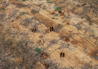 146 FORTLAWN IMG 6823