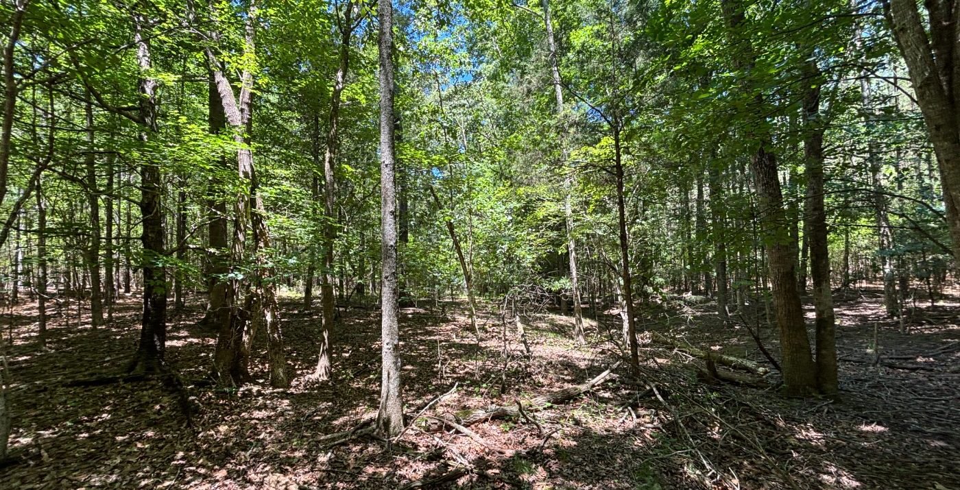 146 IMG 6792