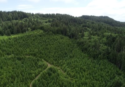 147 DJI 0096