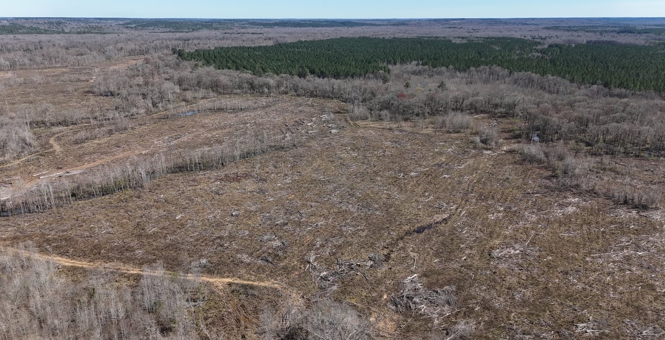 148 DJI 20250228135701 0023 D