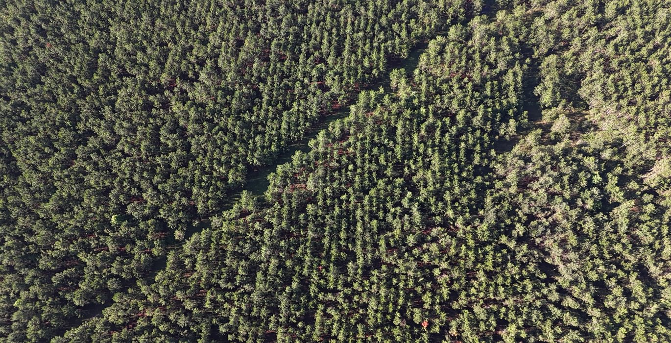 148 DJI 20250613090008 0079 D