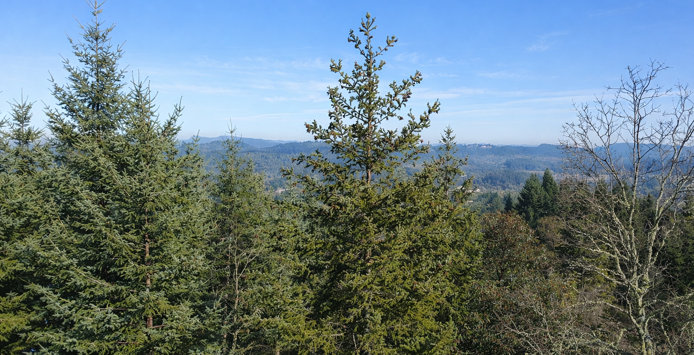 149 Chat GPT Image Jan 13 2026 at 04 53 41 PM