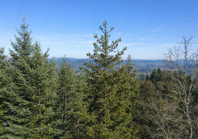 149 Chat GPT Image Jan 13 2026 at 04 53 41 PM