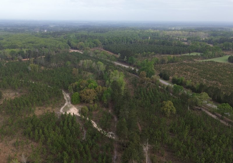 Photo 4 of Old Poor Robin Tract 1, 24.6 acres, Screven County, Georgia