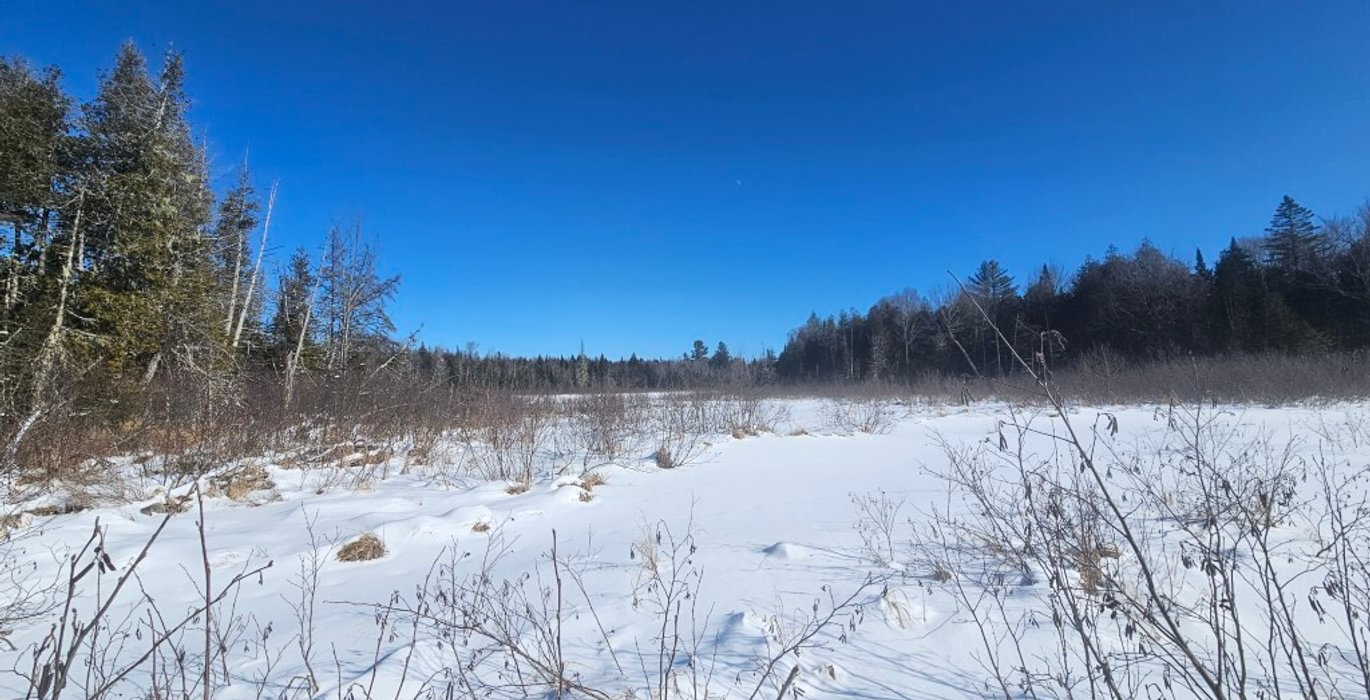 14 6 Birch Stream 2