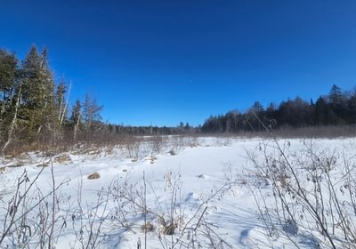 14 6 Birch Stream 2